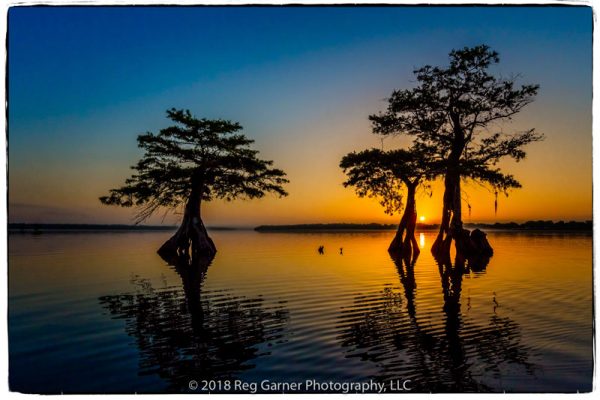 Cypress Sunrise