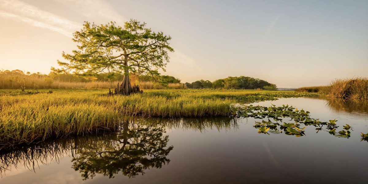 The St. Johns River; from Lake Harney to the WhiteHaired Bridge