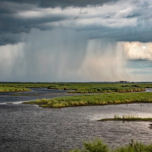 Approaching Storm