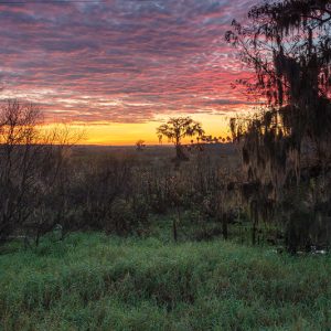 Florida Sunset