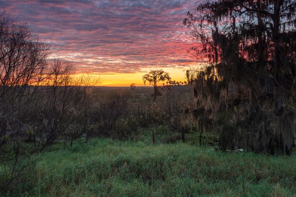 Florida Sunset