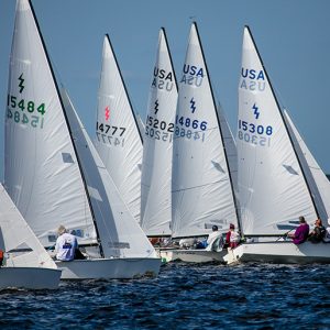 Regatta Sailboats