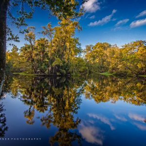 Water Reflections