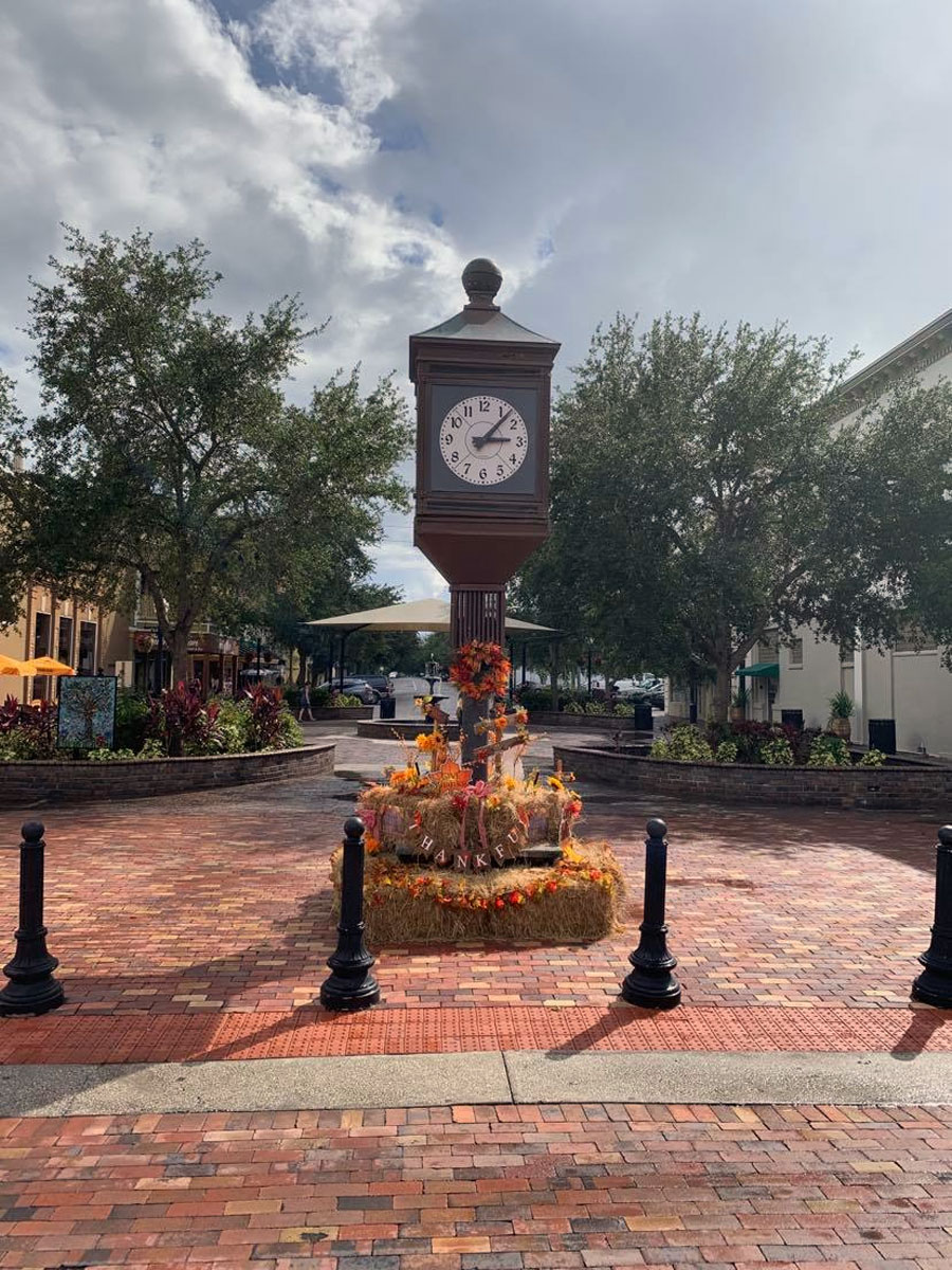 Magnolia Square in the Fall