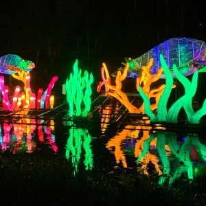 Asian Lantern Festival: Into the Wild at the Central Florida Zoo & Botanical Gardens is Now Open