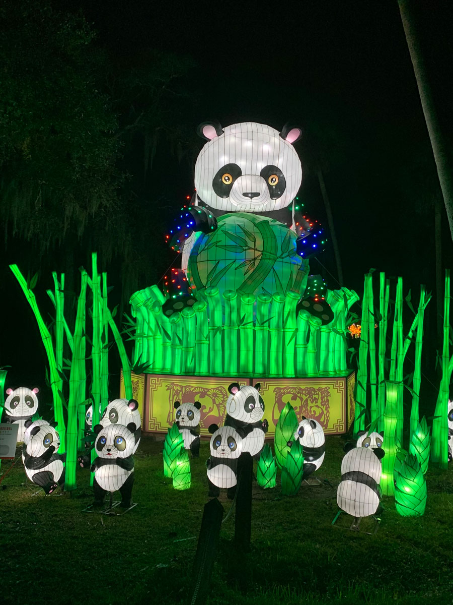 Asian Lantern Festival Pandas
