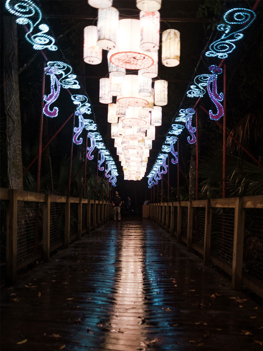 Asian Lantern Festival walkway