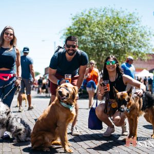 The Economic Impact of The Pints n’ Paws Craft Beer Festival