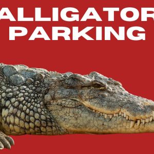 Alligator