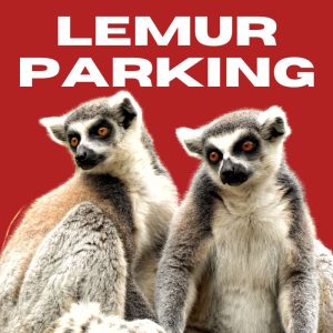 Lemur