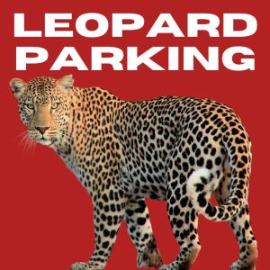 Leopard Parking Lot Downtown Sanford