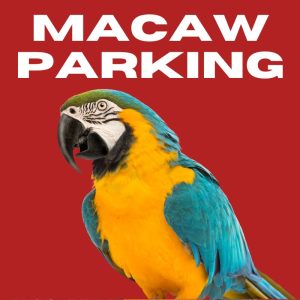 Macaw