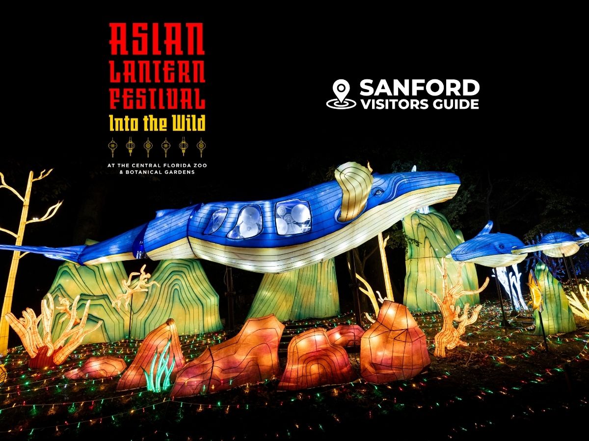 Asian Lantern Festival: Into the Wild - Sanford Visitors Guide