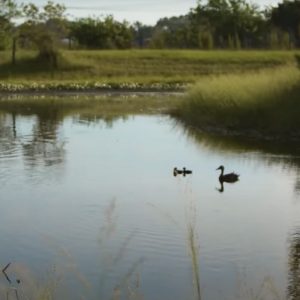 Father’s Table Foundation to Match $100,000 for Love Missions Legacy Ranch Project