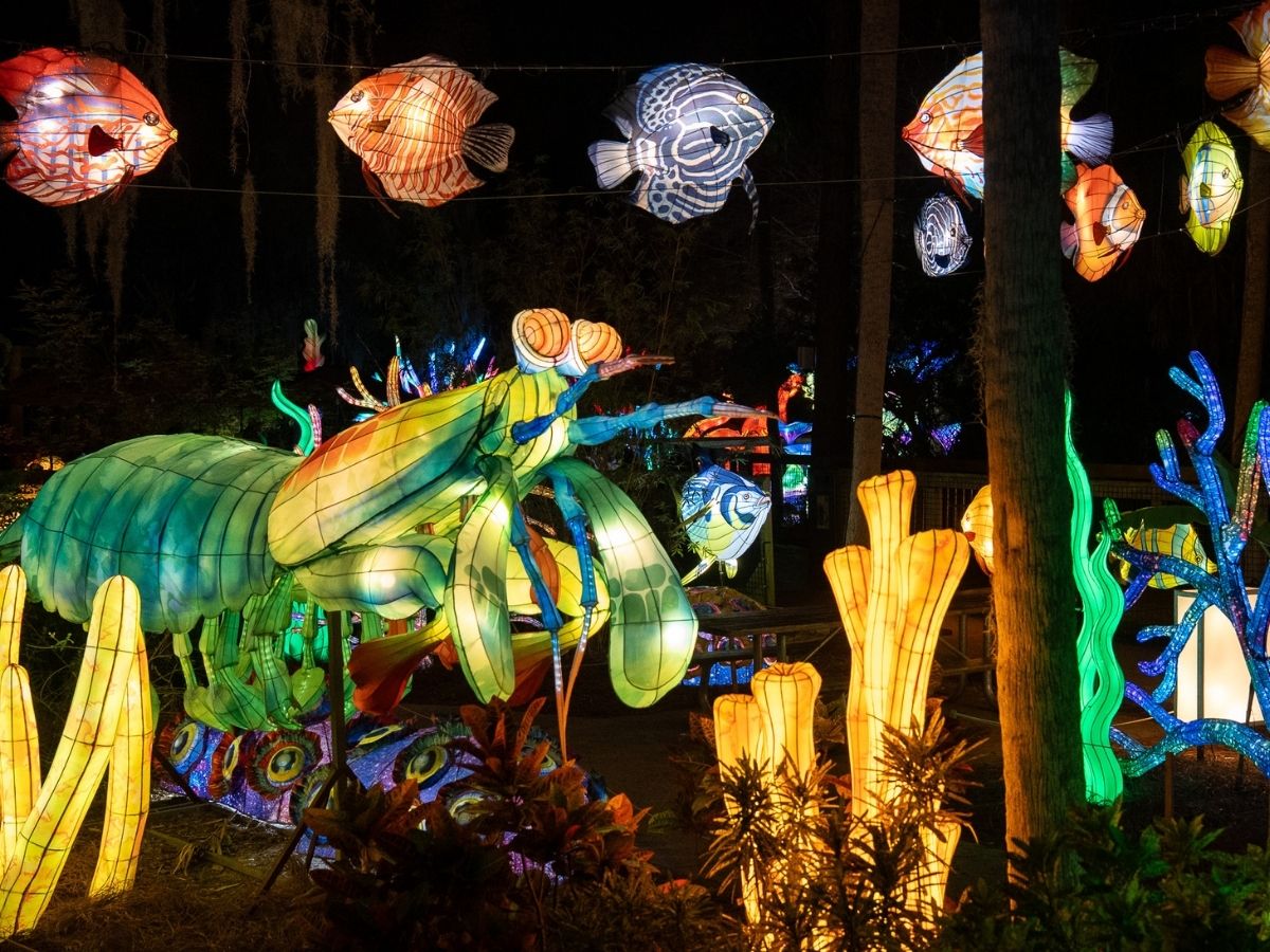 Central Florida Zoo adds adults only night to popular Asian Lantern Festival: Into the Wild, presented by Publix